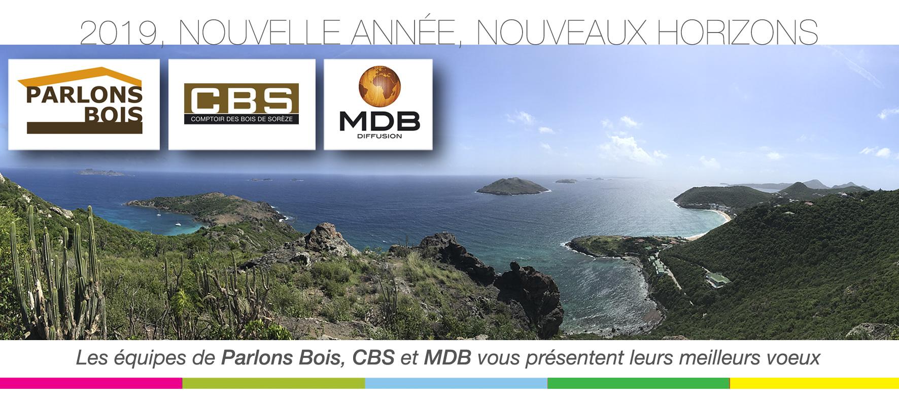 Nouvelle année