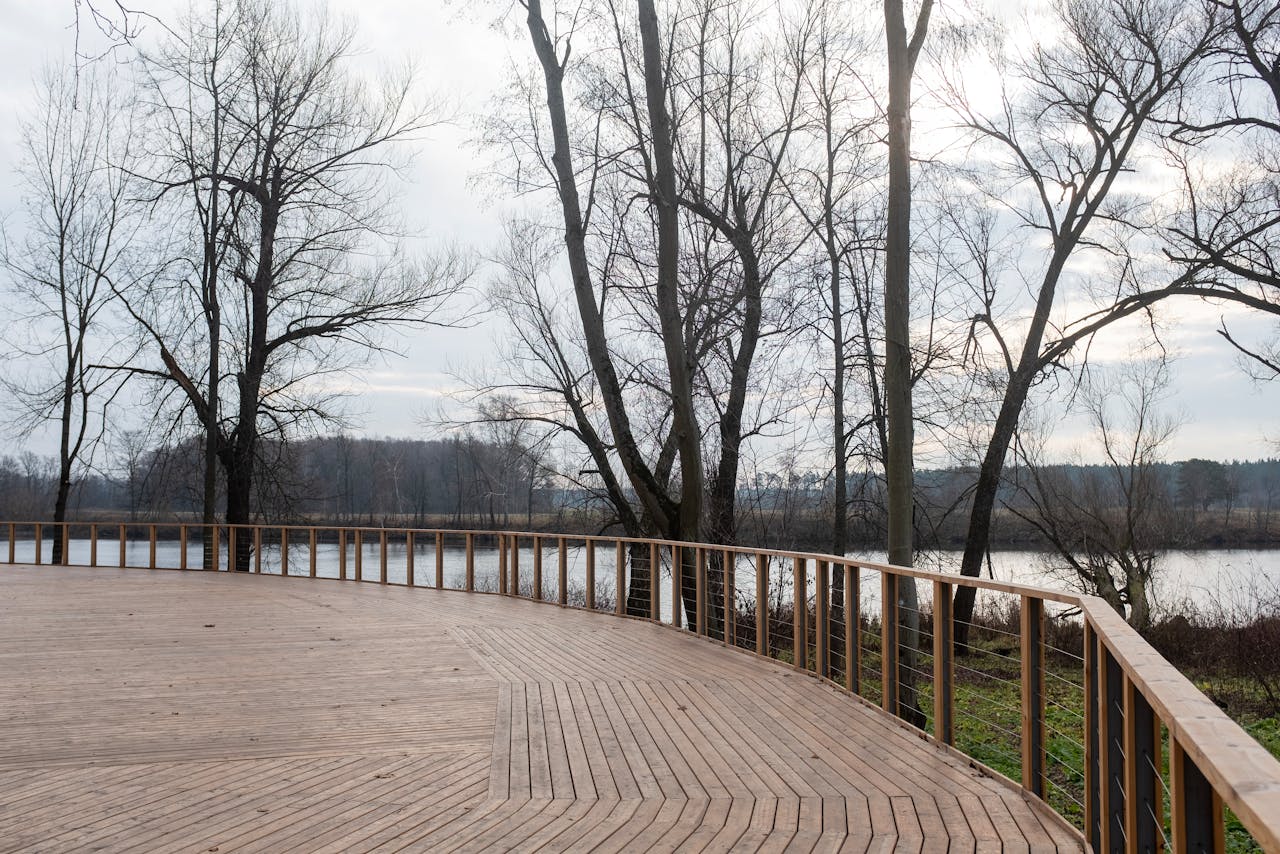 Terrasse en bois exotique